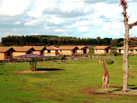 Hotel in der Nähe des Serengeti-Parks